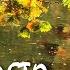 БАБЬЕ ЛЕТО В Высоцкий Indian Summer CANADA