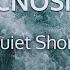 Tecnosine Quiet Shore