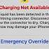 Do This After Hitting Emergency Override On Your IPhone