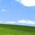 Pop Cat But It S Bass Boosted Ft Windows XP Wallpaper