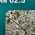 598 Всенародная молитва 28 мая Исаия 62 3