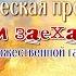 13 июля 2024 Мы к вам заехали на час выступление у Художественной галереи