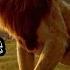 The Return Of The KING Sansa Lala Remix Vietnamese Drum Piano Sound