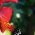 Beautiful Voice 309 Respect Beautifulvoice Beautiful Recitation Viralshort Trendingshorts