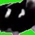 Polish Cow Green Screen
