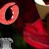 TIERRA CALI AMOR TE AMO Official Video