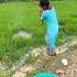 Village Girl Incredible Hook Fishing In The Paddy Field Using Hook Fishingvideo Shortvideo Catch