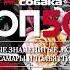 ДАРЬЯ АХИНЯН ТОП50 2017