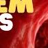 Circulatory System For Kids Learn All About How Blood Travels Through The Body