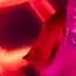 Karol G Ivy Queen Wisin Y Yandel Nicky Jam Zion Leyendas Live 2021