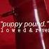 Puppy Pound Jazmin Bean S L O W E D Reverb
