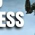Full Solo Deathless Run Libra Boss Elden Ring Nightreign