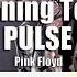 Learning To Fly PULSE Pink Floyd Guitar Tab Playalong