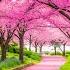 Calms Restores The Nervous System Stop Thinking Stress Relief Music 4