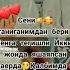 ЖУФТИХАЛОЛИМ