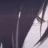 Nightcore Comatose Skillet