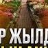 8 Наурызда кімдер минусқа кіреді кімдер ақша табады