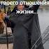 настроение шуточное рыбалка позитив