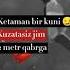 Ketaman Bir Kuni