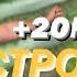 Я ПЕРЕШЕЛ НА ОДНОСТРОЧКУ ПРЕИМУЩЕСТВА И НЕДОСТАТКИ 2023