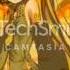 Gocha Gocha Uruse Stop Nagging Me Chorus