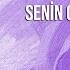 Besnili Aysu Senin Olsun