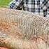 You Ve Never Seen A Fish This Big Grilled In A Mountain Village