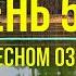 ВЕЛОПУТЕШЕСТВИЕ В ОДИНОЧКУ ДЕНЬ 52 ПУТЬ ДОМОЙ НА ЛЕСНОМ ОЗЕРЕ