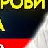 Сосуды Будут Чистые как в 20 лет Советы Кардиохирурга Рената Акчурина