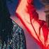 Black Gay Bop Colour By MNEK Ft Hailee Steinfeld