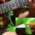 Tapping Out Issues Guitar Cover 6 Strings