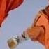 Shaolin Kung Fu 18 Fight Techniques