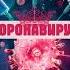 Коронавирус уходи Coronavirus Go Away