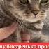 А ну быстренько