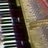 Cyprien Katsaris Rimsky Korsakov Cziffra The Flight Of The Bumble Bee