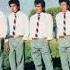 Los Ronisch Una Muchacha Vinilo