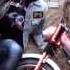 Morning Dwell Orange Moped HD