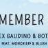 Alex Gaudino Bottai Remember Me Lyrics Feat Moncrieff Blush EnterWholement