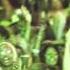 Machel Montano The Fog Official Music Video Soca 2013 Trinidad Carnival MachelMontanoMusic