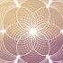 BioGeometry And Life Force Dr Ibrahim Karim
