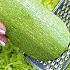 This Zucchini Recipe Is So Delicious I Can Make It Almost Every Day Zucchini With Rice