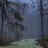 Самые большие болота в мире Топ 10 The Largest Swamps In The World Top 10