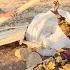 A Mother S Resistance To Cruelty Leila S Surrender To Zuleikha S Will