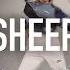 Sheep Alan Walker Relift Lay Jane Kim Choreography