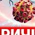Аутоиммунные болезни излечимы и почему ВДРУГ организм начинает себя САМ уничтожать
