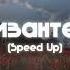 Анастимоза Хризантеми Speed Up