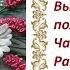 Мастер класс Вышивка полевого букета Часть 8 Ромашки с отдельными лепестками 2 способа