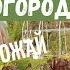 Маленький огород Что делать Как увеличить продуктивность своего маленького огорода