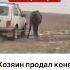 Животные все чувствуют у них тоже есть сердце