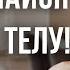Как наше тело говорит с нами и ЧТО ЭТО ЗНАЧИТ Вся правда о нашем теле